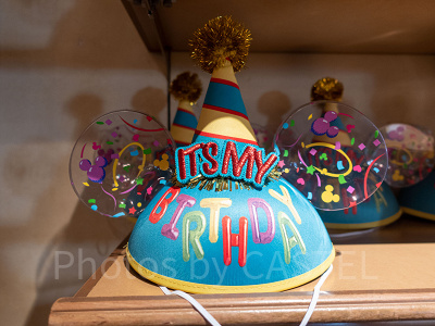 バースデーイヤーハット（表）