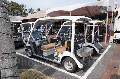 カートサファリ