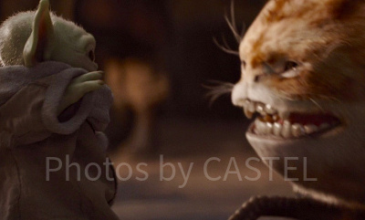 ねこ？に驚かされるベビーヨーダ（ザ・チャイルド）