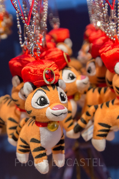 チャンドゥ】ディズニーシーのかわいいトラ！パーク限定キャラクターの