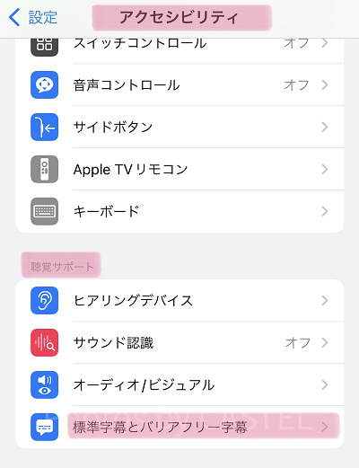 字幕設定の変更
