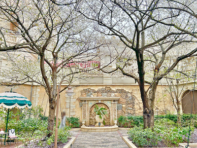 ディズニーシーのピクニックエリア・ノースの桜