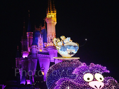2072.昔の日本東京ディズニーランドピンエレクトリカルパレードチシャ猫 Yahoo!オークション - 即決 TDLヴィンテージ 曲&光る 1人