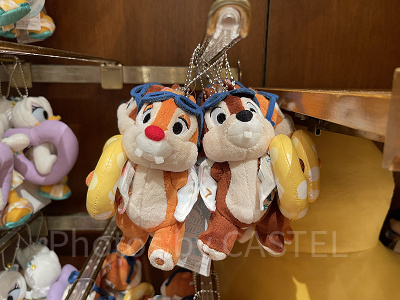 チップとデールぬいぐるみバッジ（2022ディズニー夏グッズSUISUI SUMMER）