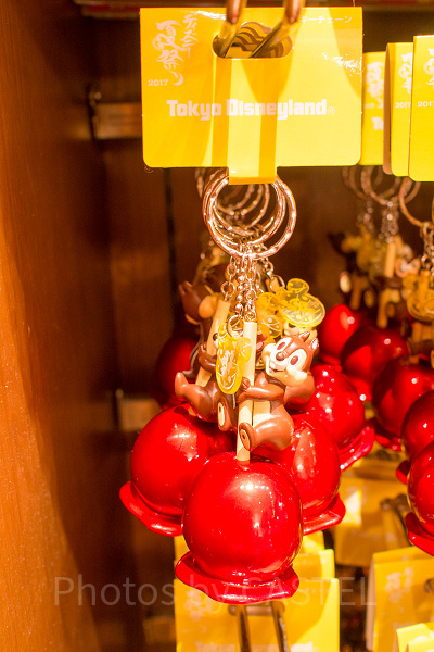 チップ　キーチェーン