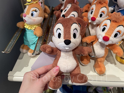 チップポージープラッシー
