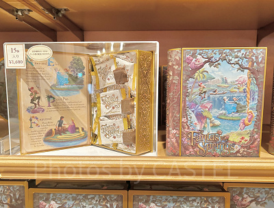 チョコレート（ファンタジースプリングス世界観グッズ）