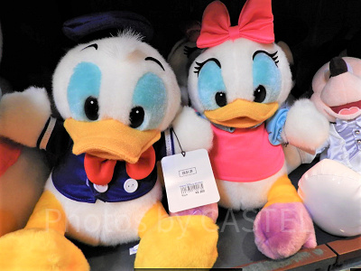 好きなサイズから選ぼう♪