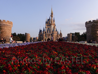 シンデレラ城