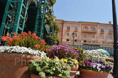 色とりどりの花々もパークを盛り立てるプロップスの一つです!