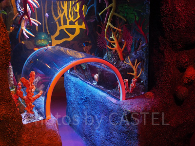 「サンゴ礁の海」