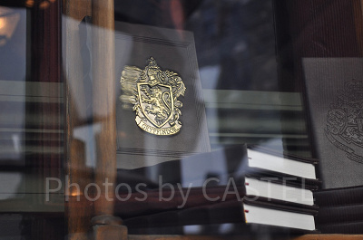 グリフィンドールの紋章/USJ