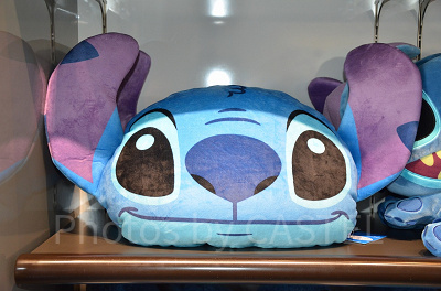 クッション(顔のみ)表