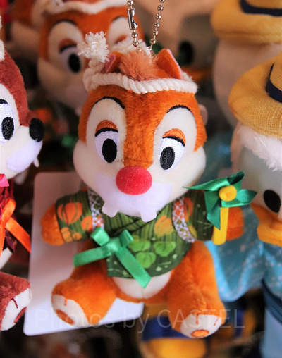 デールの夏ぬいば