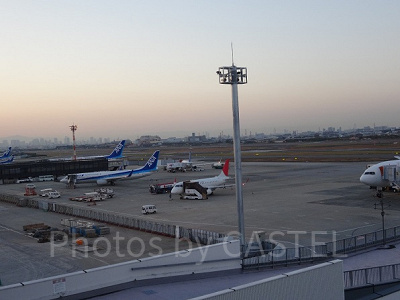 飛行機で日帰りディズニー