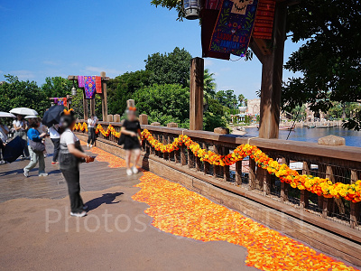 ラソス・デ・ラ・ファミリアのデコレーション