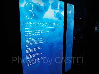 クラゲファンタジーホールの解説