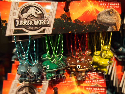 恐竜キーチェーン（4個セット）