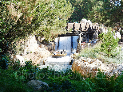 ディズニーカルフォルニアアドベンチャーのアトラクション：グリズリー・リバー・ラン