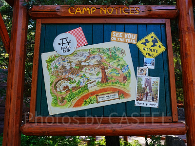 ディズニーカルフォルニアアドベンチャーのアトラクション：レッド・ウッド・クリーク・チャレンジ・トレイル