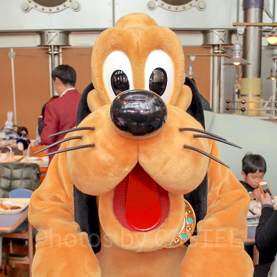 ディズニーの犬キャラクター