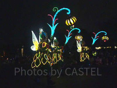 ディズニー・フェアリーズ（ダンサー）