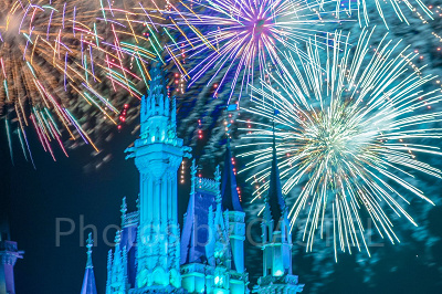 ディズニー・ライト・ザ・ナイト