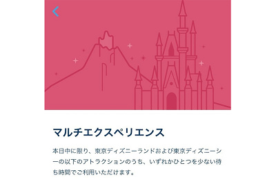 ディズニーマルチエクスペリエンス