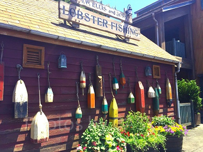 ディズニーリゾート看板クイズ⑦