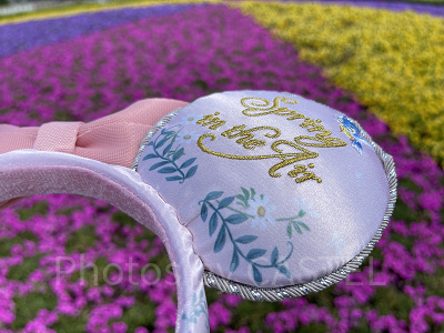 ディズニー春カチューシャ(内側)