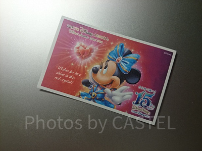 入場不可 15周年記念東京ディズニーランドチケット 2025年最新ディズニーランド 15周年 記念チケットの人気アイテム