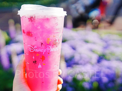 カリフォルニア・アナハイムディズニー：スタバドリンクの限定ロゴ