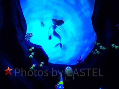 カリフォルニアアナハイムディズニー：持ち物