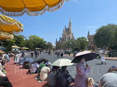 ディズニーランド混雑状況