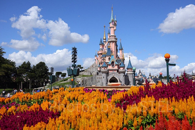 ディズニーランドパリのチケット