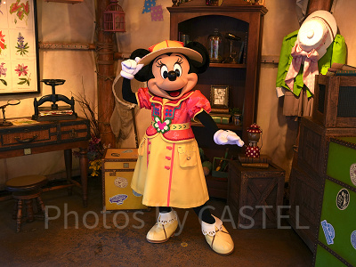 ディズニーシー　ミッキー&フレンズ・グリーティングトレイルのミニー