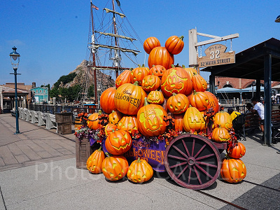 2025年のディズニーシーのハロウィンデコレーション