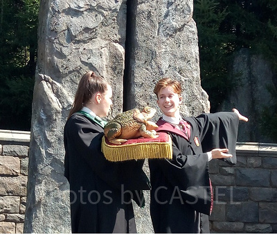 「フロッグ・クワイア」は原作にも登場するの?