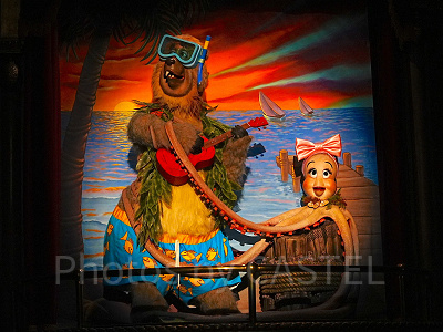 タコの「ドロレス」