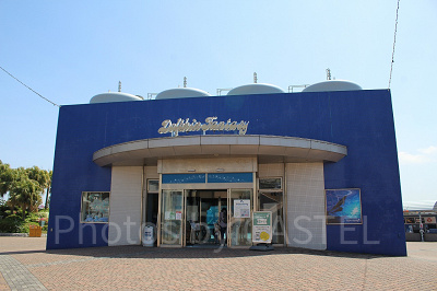 ドルフィン ファンタジー