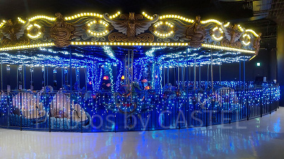 ドルフィンパーティー