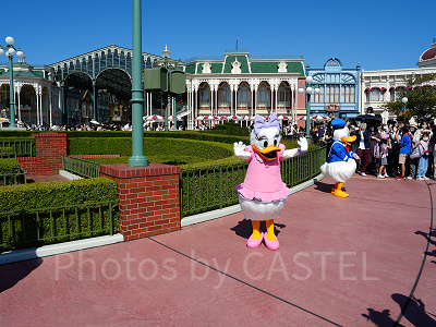 ドナルド＆デイジー