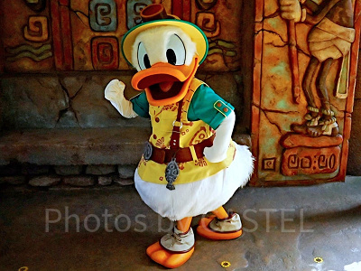 ディズニーでドナルドに会う4つの方法！グリーティング施設