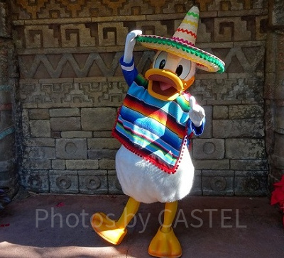 ドナルドの名言⑧：「物事はいつも1回目で上手くいくとは限らない。でも、挑戦し続けるんだ。」