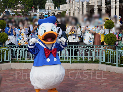 ドナルドダック