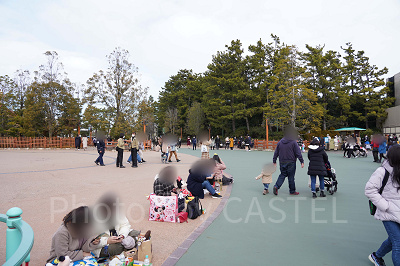 ドリーミング・アップ!待ちの様子(12時40分ごろ)