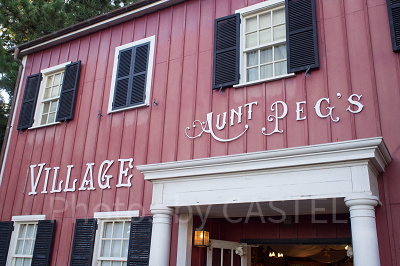 ケープコットクックにあるダッフィーグッズのお店『アーント・ぺグズ・ヴィレッジストア』