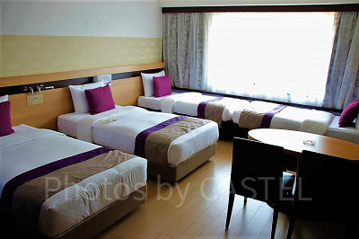 イーストウィングファミリー