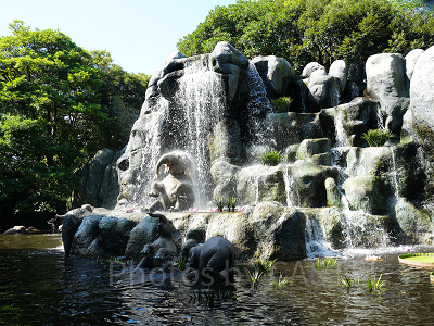 ジャングルクルーズのゾウたち