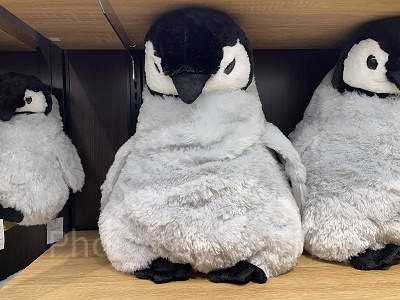 皇帝ペンギンXLぬいぐるみ（アクアパーク品川グッズ）